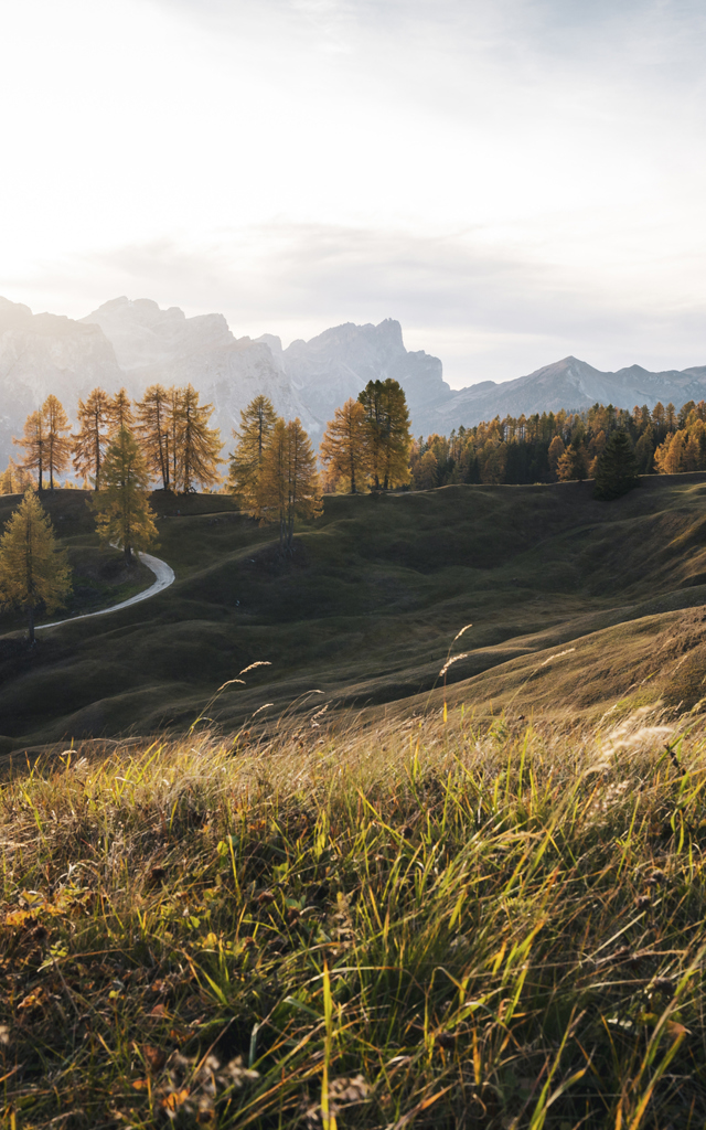 Alta Badia