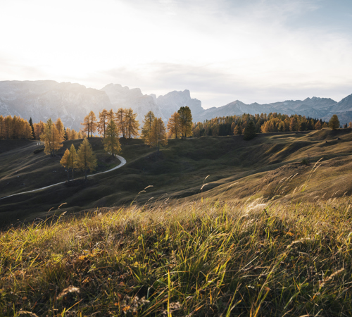 Alta Badia