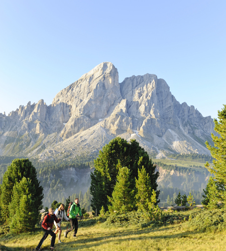 Würzjoch Sommer