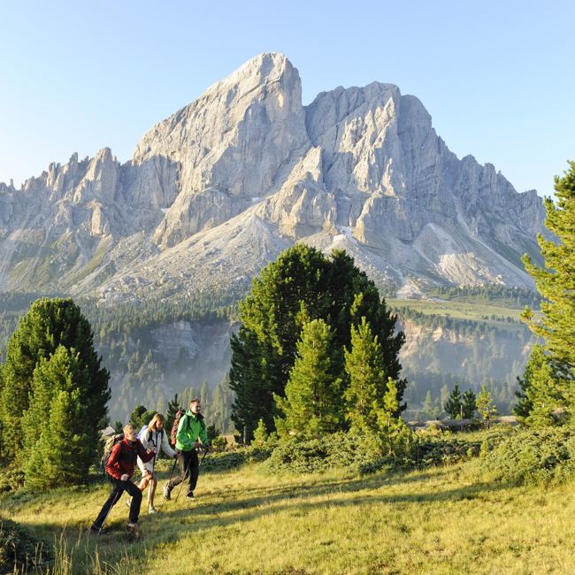 Würzjoch Sommer